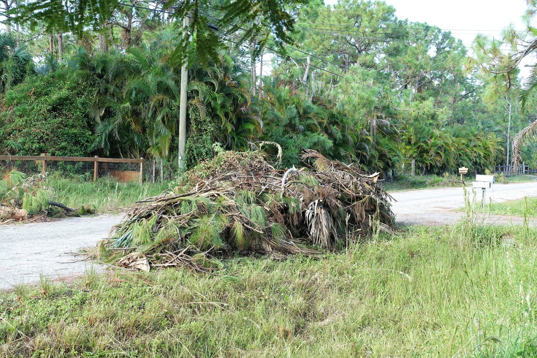 Yard debris from windstorm